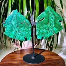 3.65LB Natural peacock stone butterfly quartz carved crystal+bracket