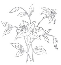 Embroidery Transfer Iron On