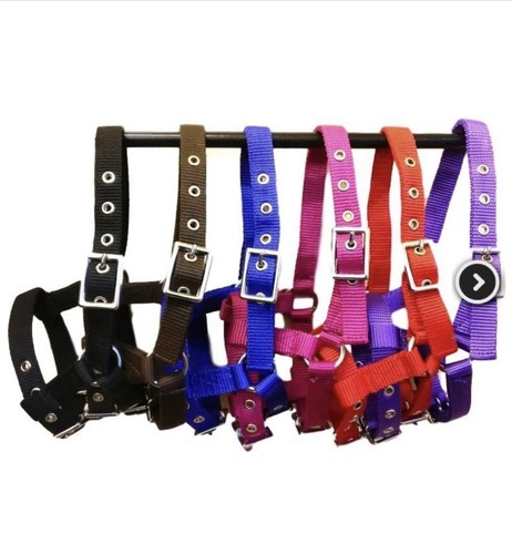 Mini foal headcollar black - mini,