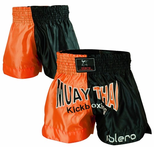 Evo muay thai mma fight - thai,