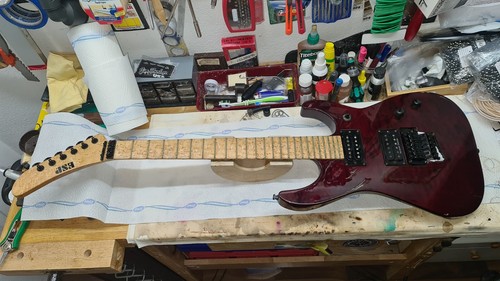 Esp custom shop order banana - esp,