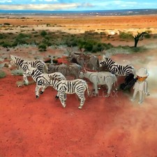 PLAYMOBIL 3677 SAFARI WITH