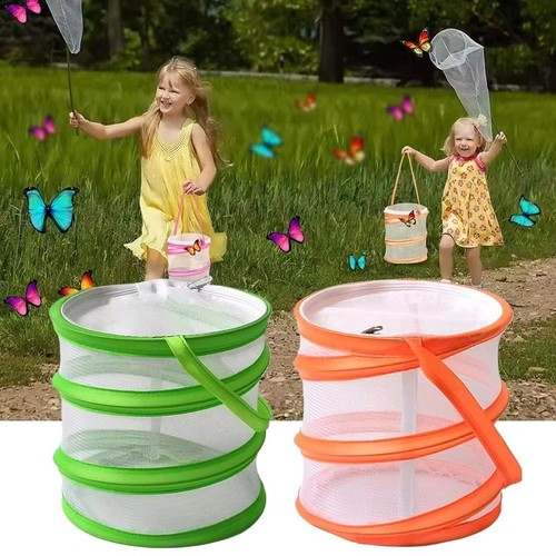 Collapsible insect habitat - insect,