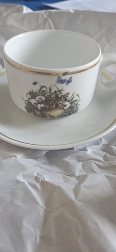 Vintage royal schwabap - royal, cup