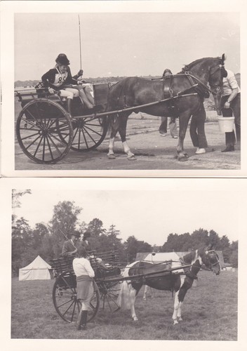 Old photo people - photo, horse