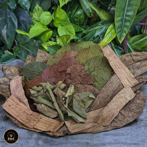 Snail leaf buffet terrarium - snail,