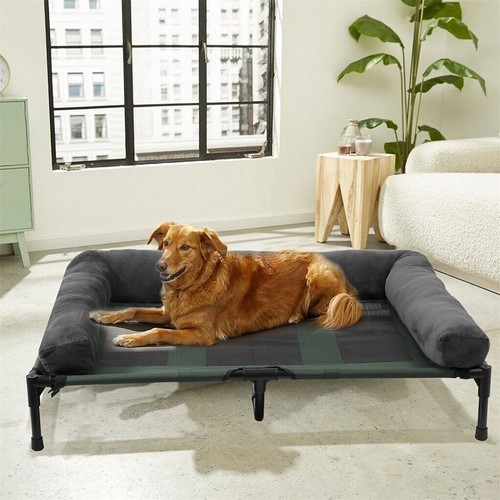 Large elevated dog - dog, bed