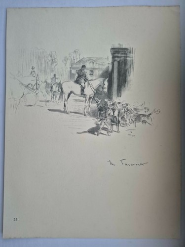 Antique pencil drawing fox - antique,