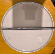 Remo Encore Ambassador Coated