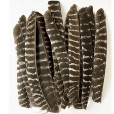 Full Length Arrow Feathers Turkey Fletches Fletching RW LW Archery Shaft DIY