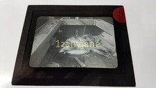KTV Glass Magic Lantern Slide Photo FISH CATCHES OF THE DAY IN BOAT