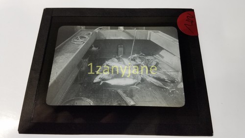 Ktv glass magic - magic, slide
