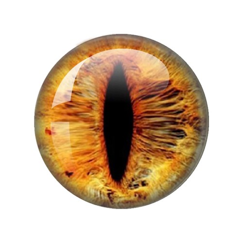 Green glass cabachon eyes