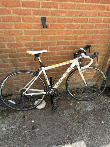 Carrera road bike tdf - road, 7005