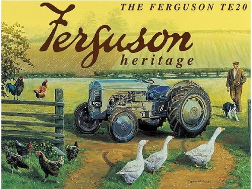 Ferguson te20 tractor farm - ferguson,