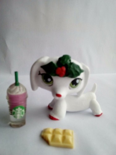 Lps littlest pet - , shop