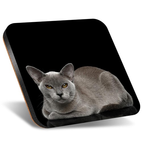 Square coaster 12cm - 12cm, burmese