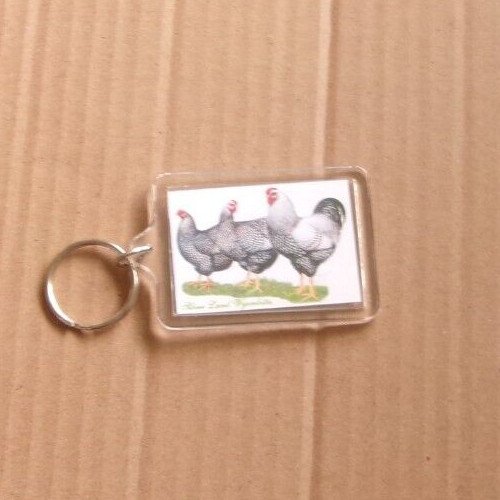 Silver laced wyandottes - silver,