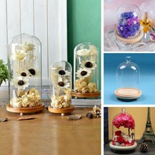 8 Size Glass Display Cloche