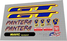 1996 GT Pantera chrome frame