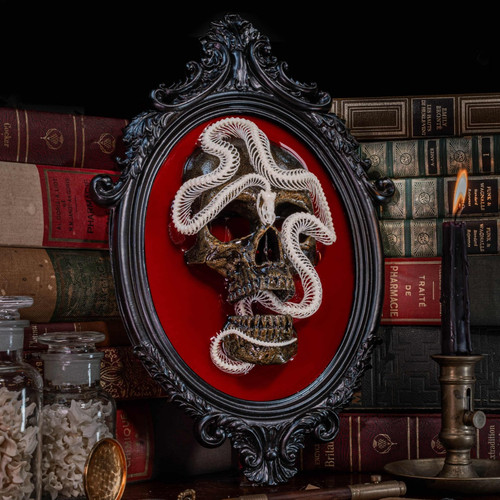 Snake skeleton real - snake, resin
