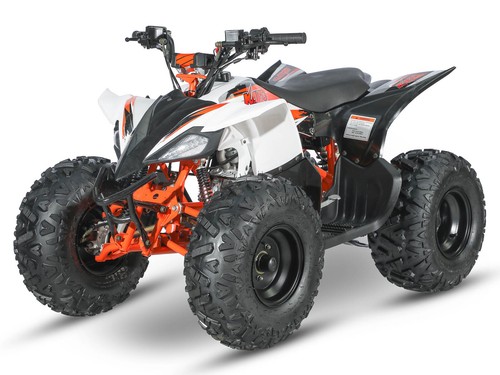 Atv quad bike - bike, raging