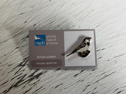Rspb house sparrow grey - house,
