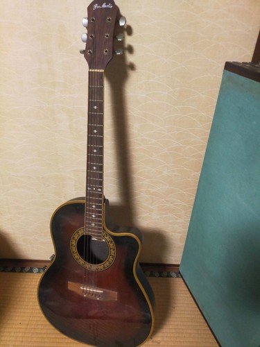 Pro martin electric acoustic - pro,