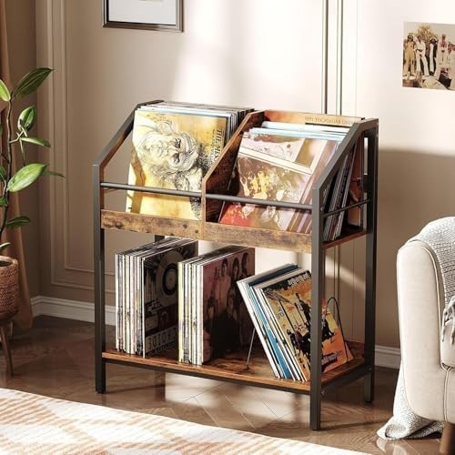 Tier vinyl record - vinyl,
