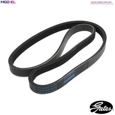 VRIBBED BELT 7PK2443 FOR