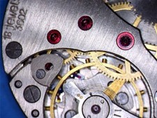 Molnia Vintage hunter pocket