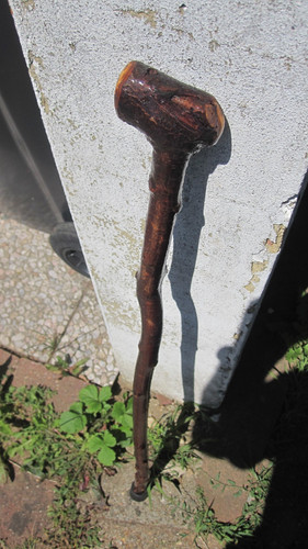 Blackthorn shillelagh - blackthorn,