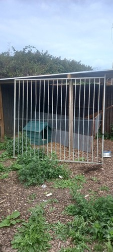 Galvanised dog run panel - dog,