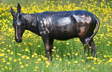 Donkey garden ornament /