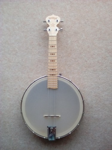 Deering goodtime banjo - banjo, concert