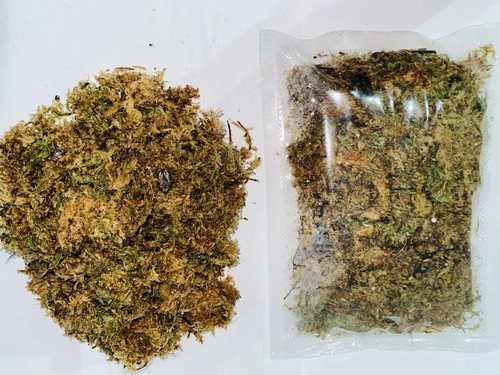 Sphagnum moss - moss, (100g)