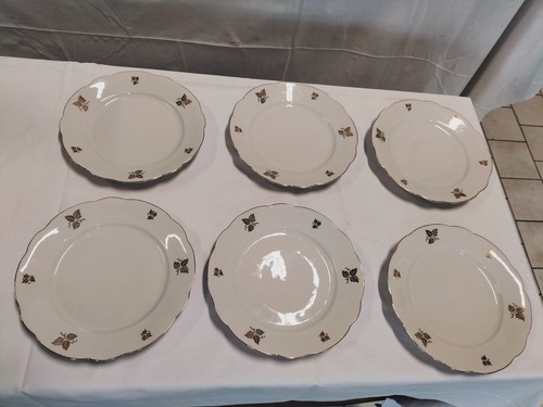 Flat plates sweet - flat, fruit
