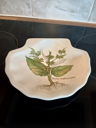 Vintage poole pottery she - vintage,