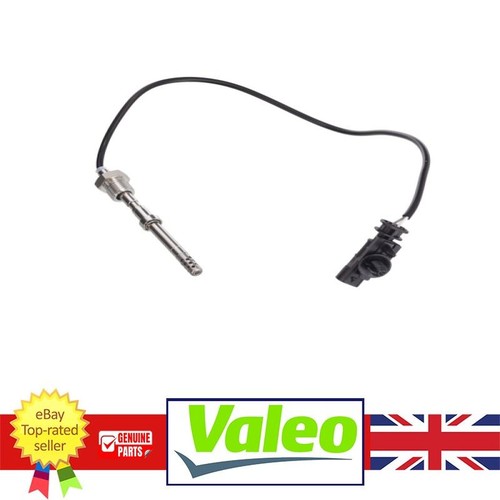 Exhaust gas temperature - gas, sensor