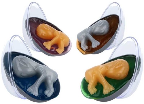 Henbrandt alien egg - henbrandt,