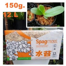 Spagmoss Sphagnum Moss New Zealand Besgrow Brick Classic Orchid Plant 150g 12L