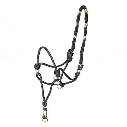 The nice halter training - the,
