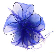 Chiffon & Feather Hair