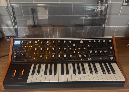 Moog subsequent paraphonic - moog,