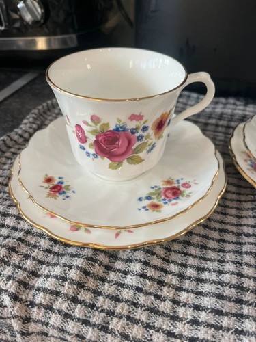 Royal victoria summer - summer, rose
