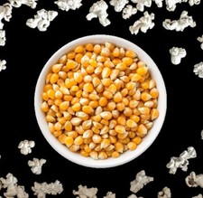 Organic Popping Corn Popcorn