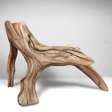 18" Manzanita Driftwood