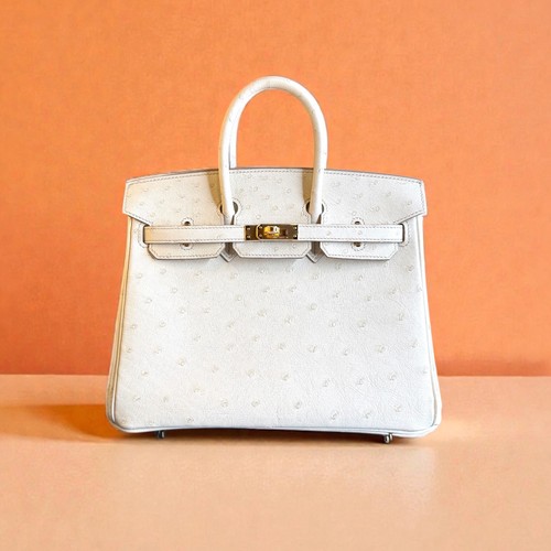 Hermes birkin ostrich - hermes,