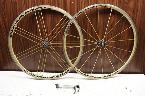 Campagnolo shamal ultra gold - campagnolo,