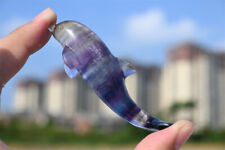 3" Natural colourful fluorite Dolphin Reiki Quartz Crystal Skull Carved Decor 1x